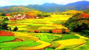 美丽的田野在线观看,在线欣赏美丽的田野